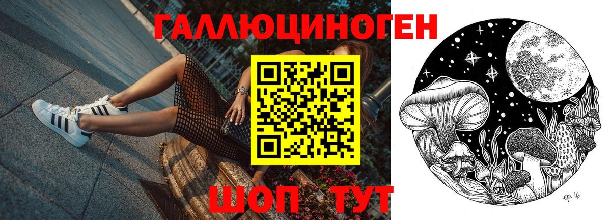 Полысаево  Псилоцибиновые грибы GOLDEN TEACHER  магазин    Вход с VPN 