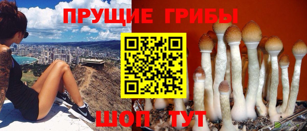 Псилоцибиновые грибы MAGIC MUSHROOMS Полысаево